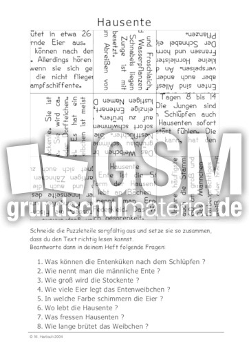 Hausente.pdf